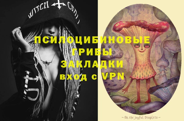твердый Белокуриха