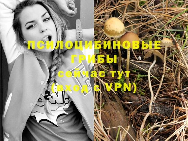 соль ск Белоозёрский