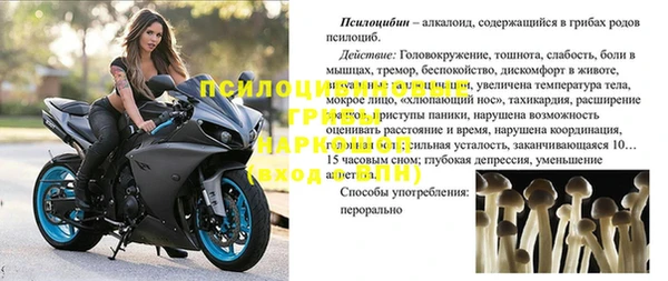 твердый Белокуриха