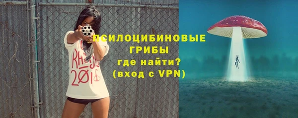твердый Белокуриха