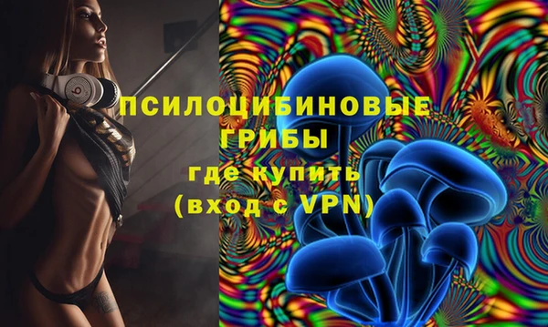 твердый Белокуриха