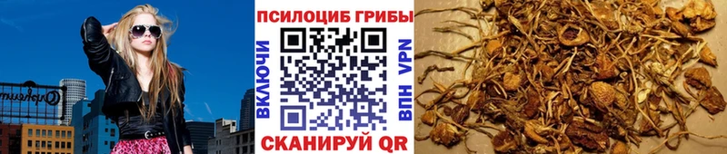 Псилоцибиновые грибы прущие грибы  Высоковск 